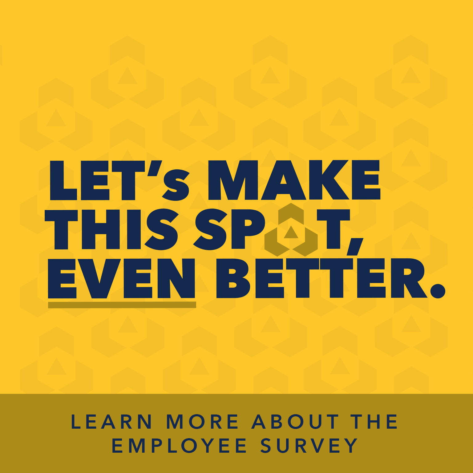 Employee Survey Details